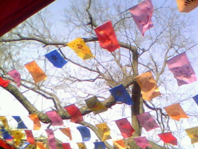20130408C012.jpg