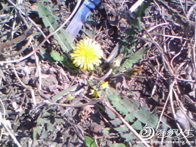 20130409A001.jpg