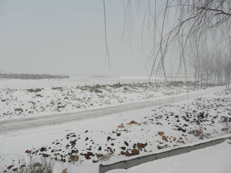 DSCN2185.jpg