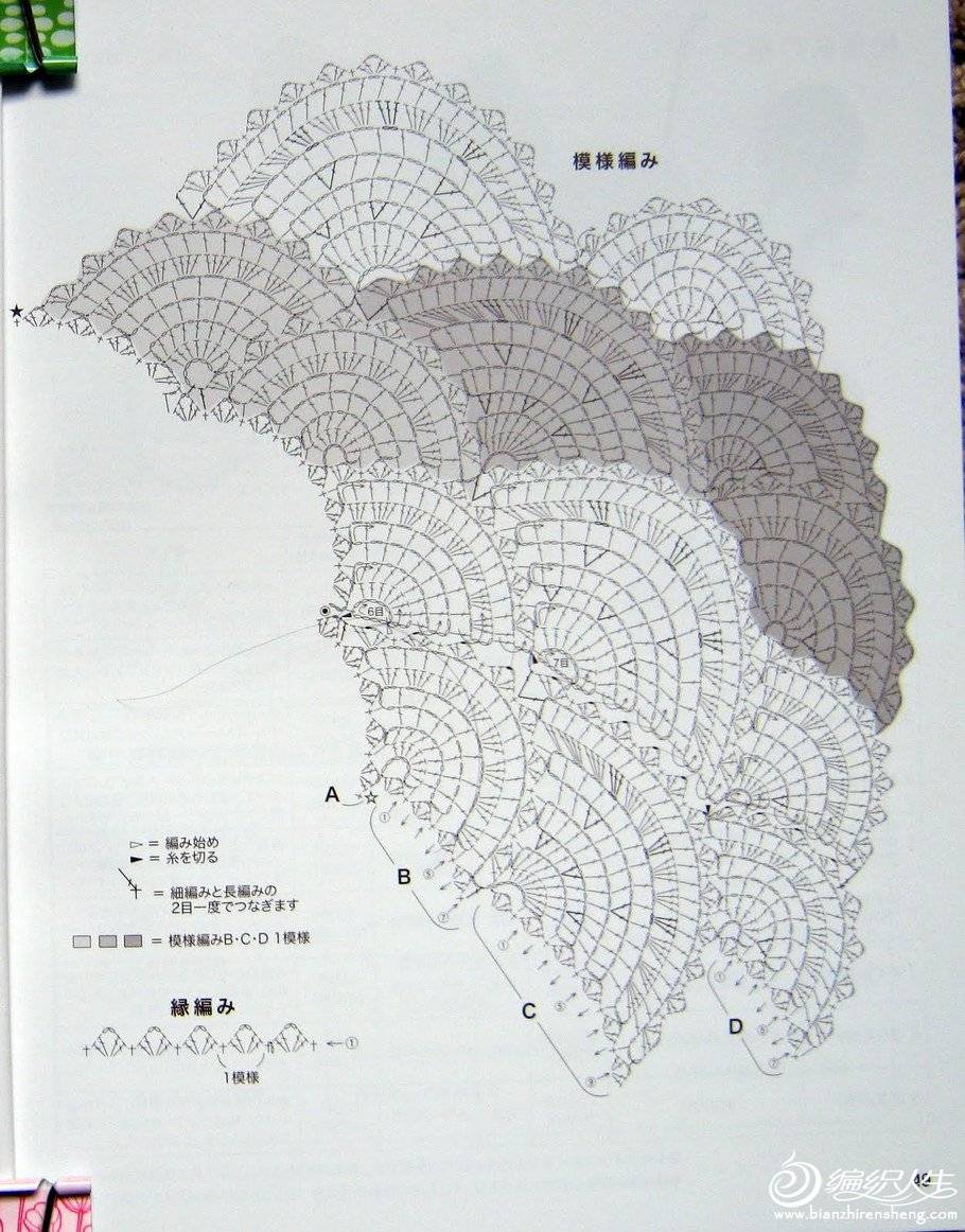 6598283627493911846.jpg