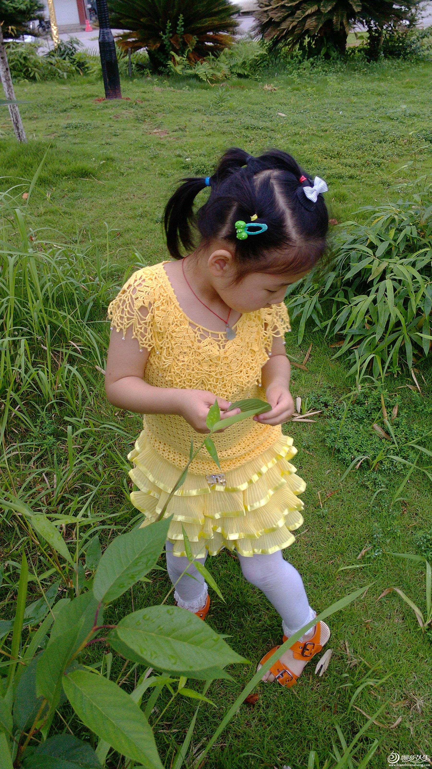 IMG_20130530_164536.jpg
