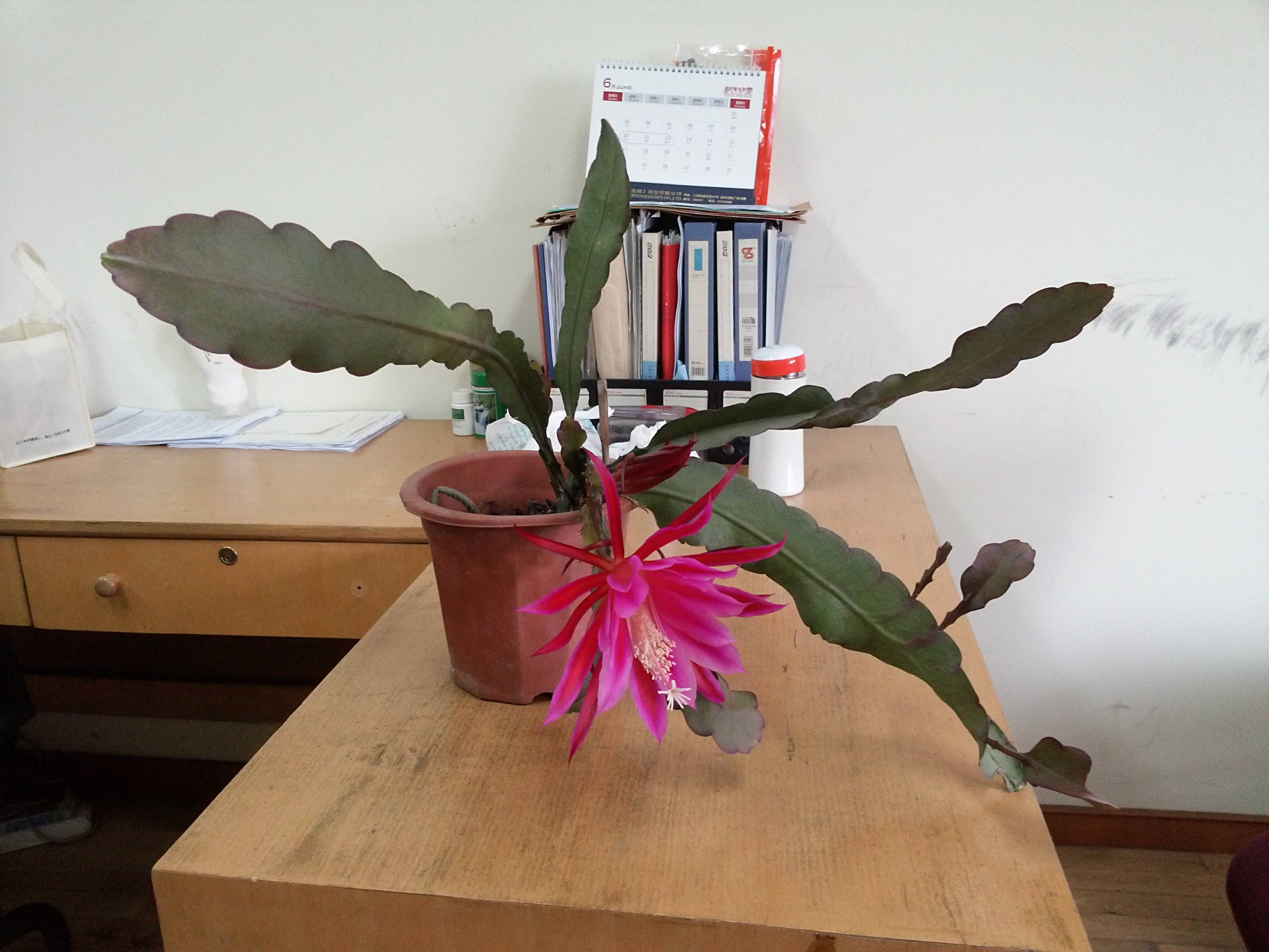 20130531_093929.jpg