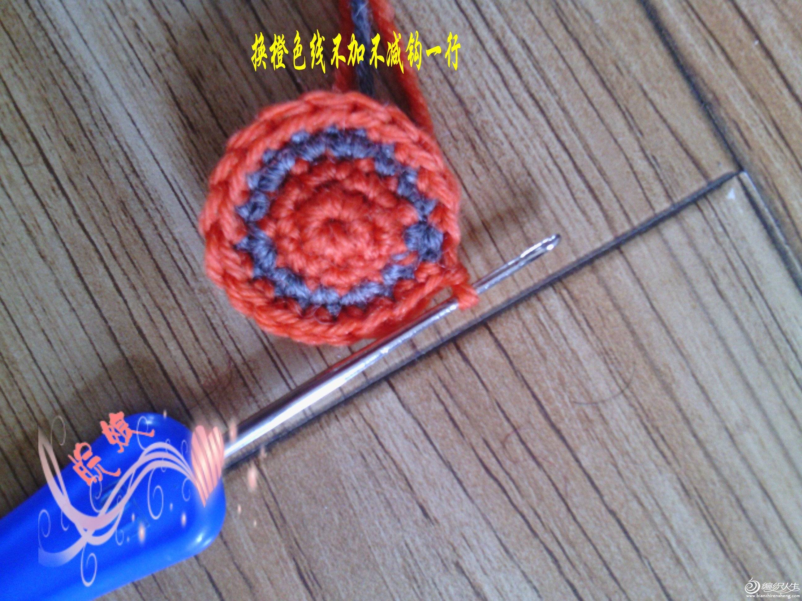 IMG_20130610_095818_conew1.jpg