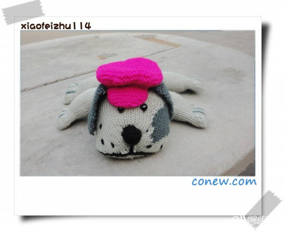 DSC00851_conew1.jpg
