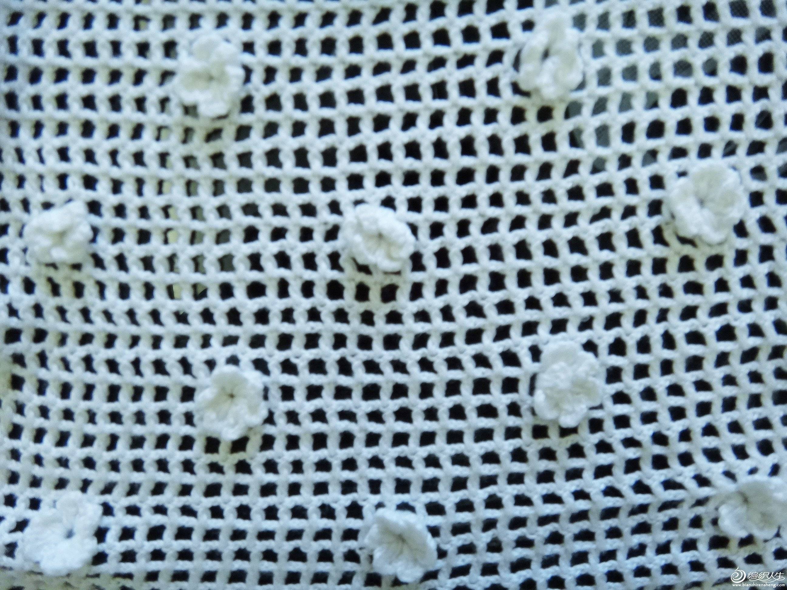 DSC05585_.jpg