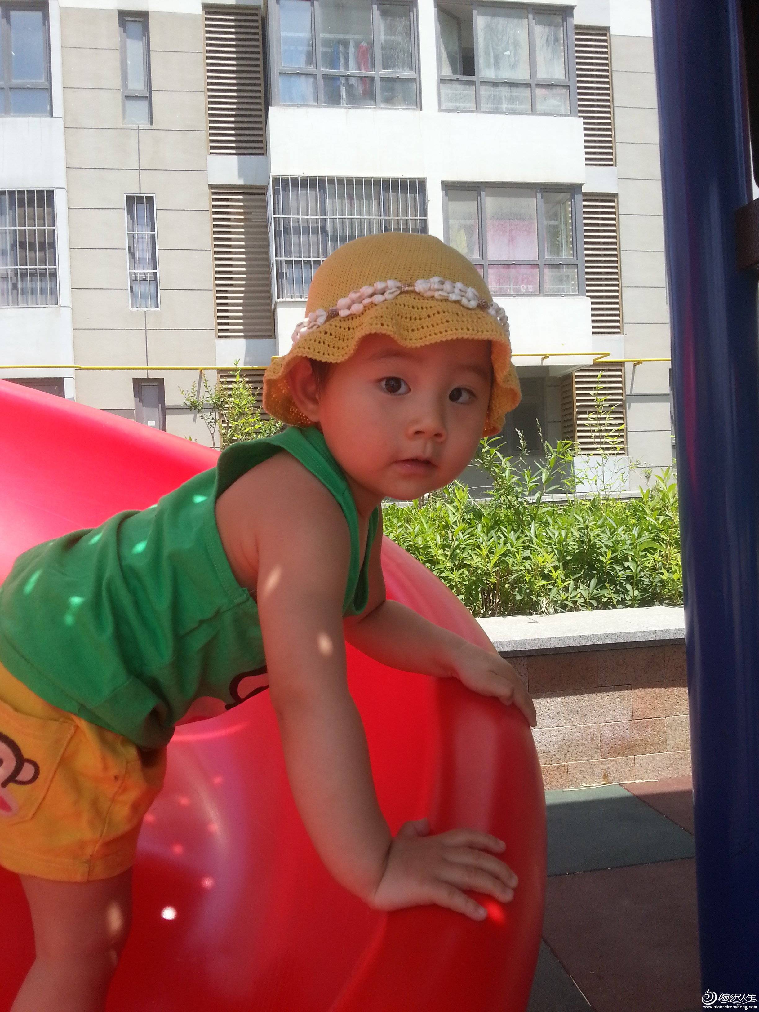 20130609_105624.jpg