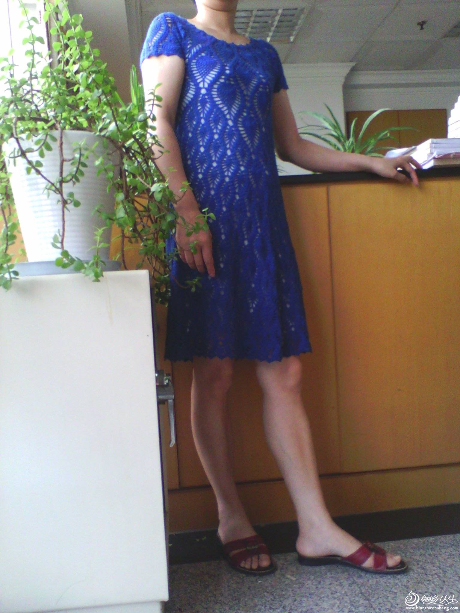 IMG_20130701_140241.jpg