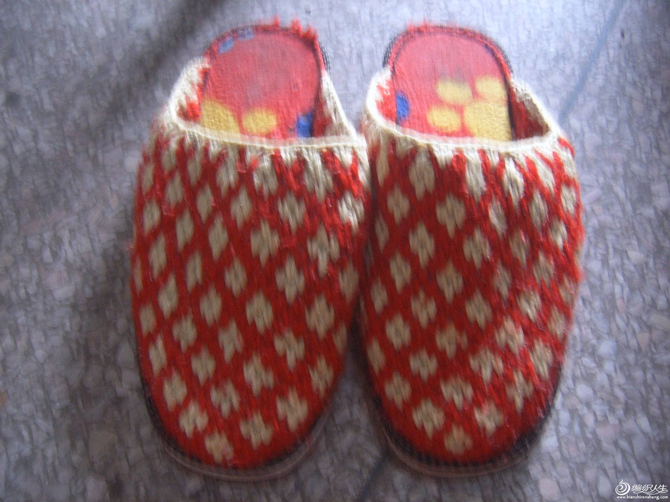 SUC56907.JPG