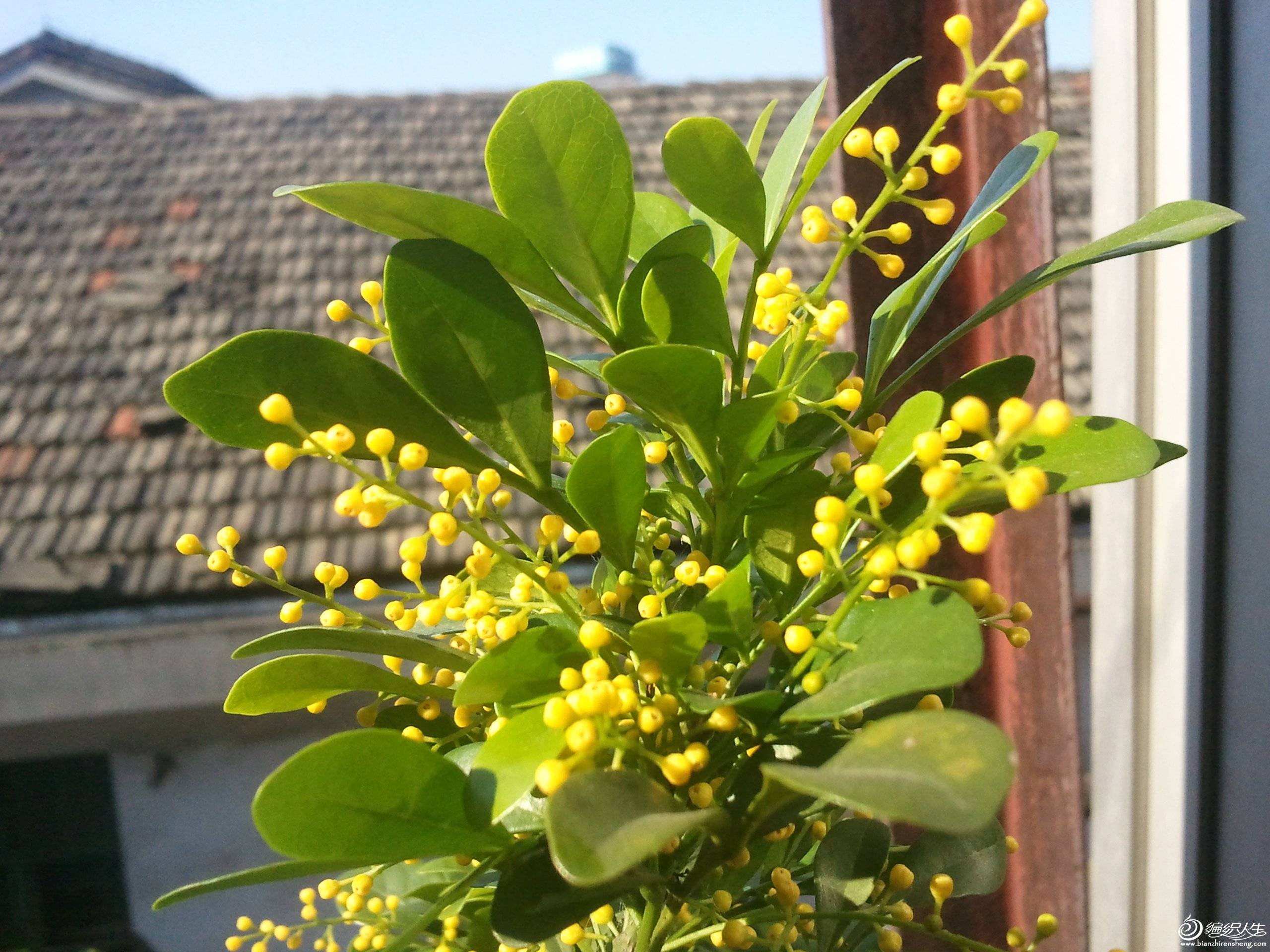 2013-07-10 08.29.51.jpg