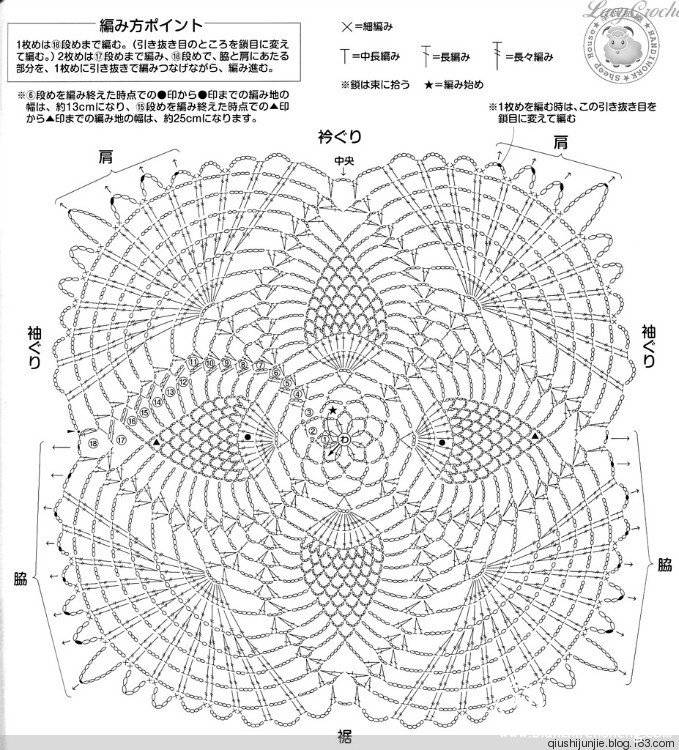 3003338001602923194.jpg