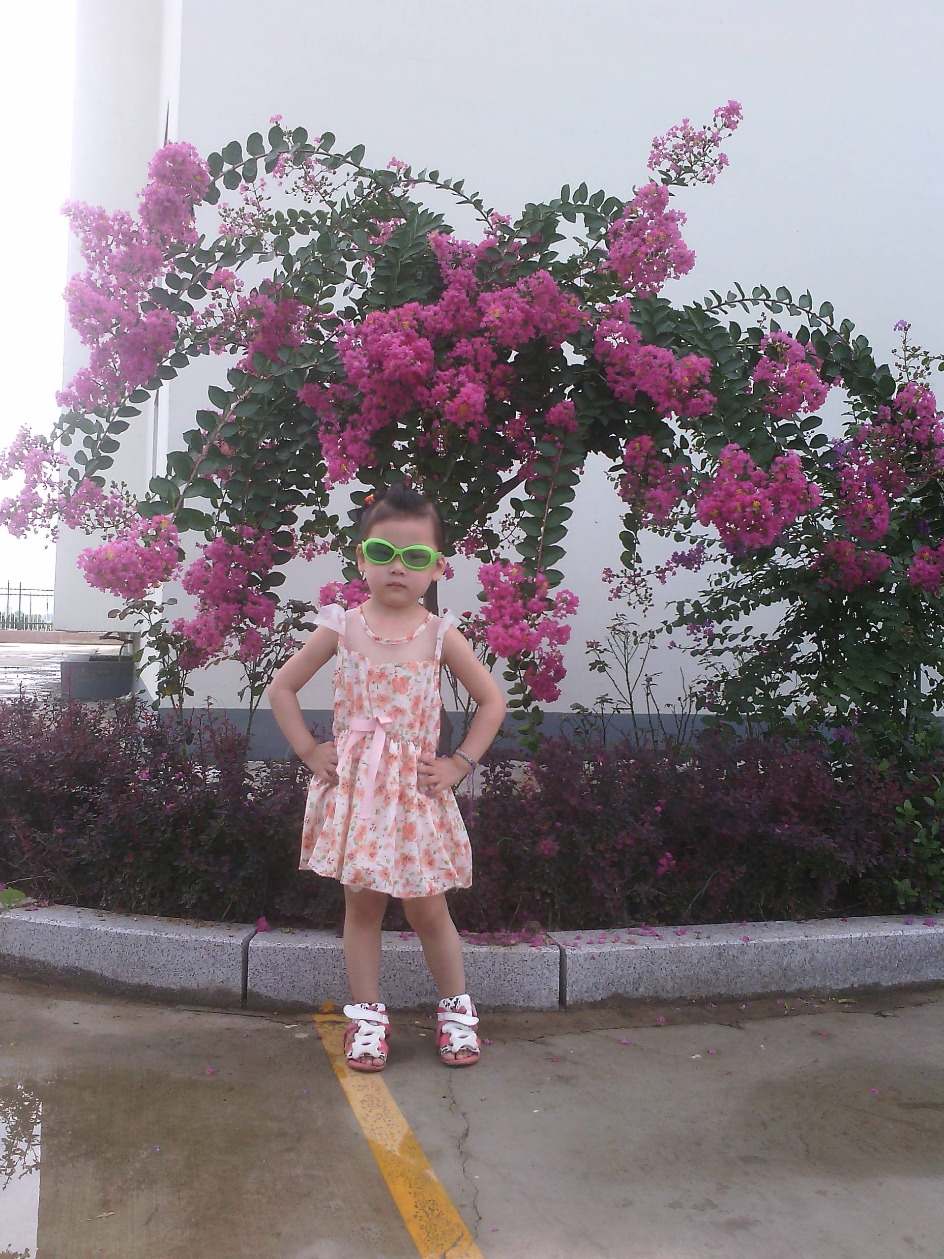 IMG_20130810_092509.jpg