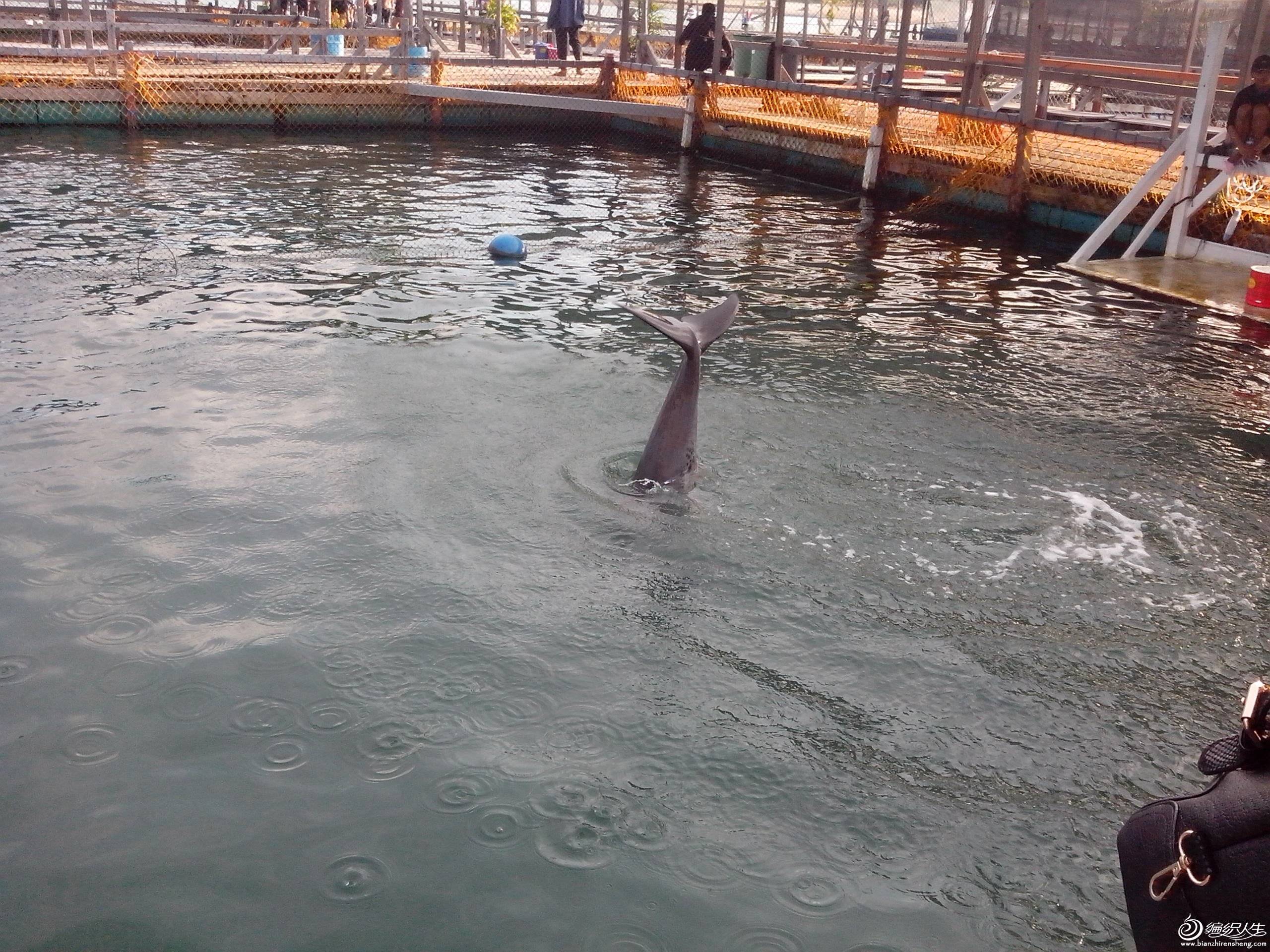 IMG_20130625_165714.jpg