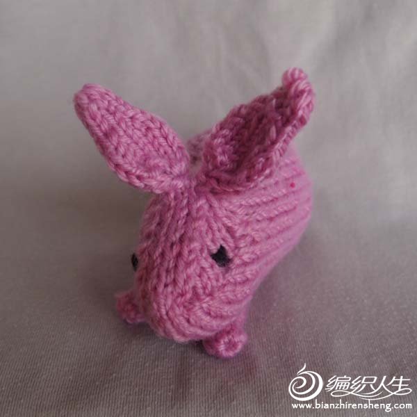 Rabbit 10 (Henry_s_Bunny)-03.jpg