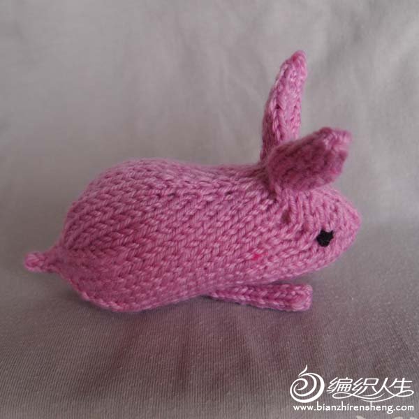 Rabbit 10 (Henry_s_Bunny)-01.jpg