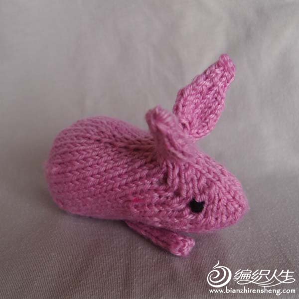 Rabbit 10 (Henry_s_Bunny)-02.jpg