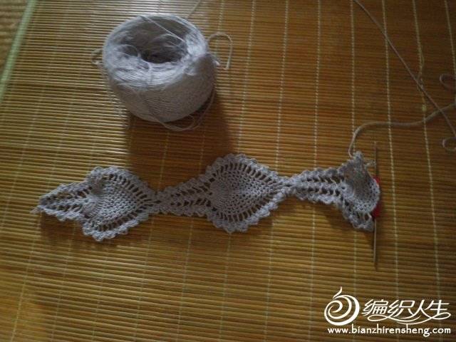 P8160090.JPG