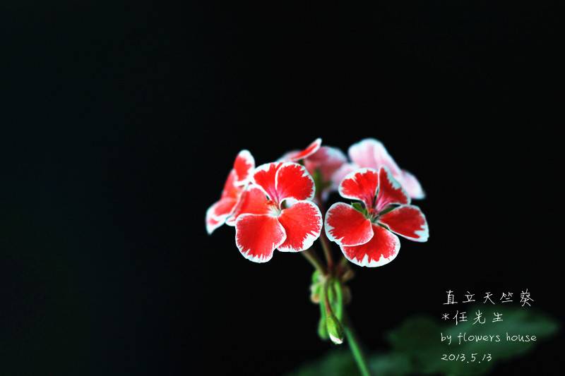 IMG_9908_.jpg