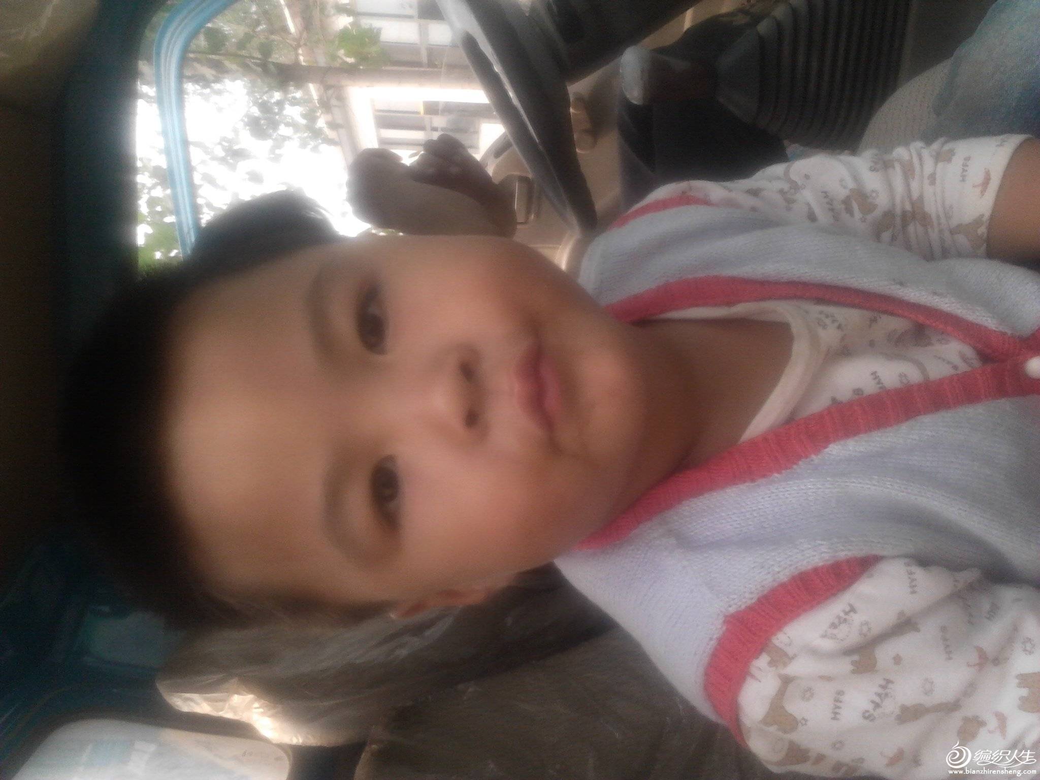 IMG_20130928_131235.jpg