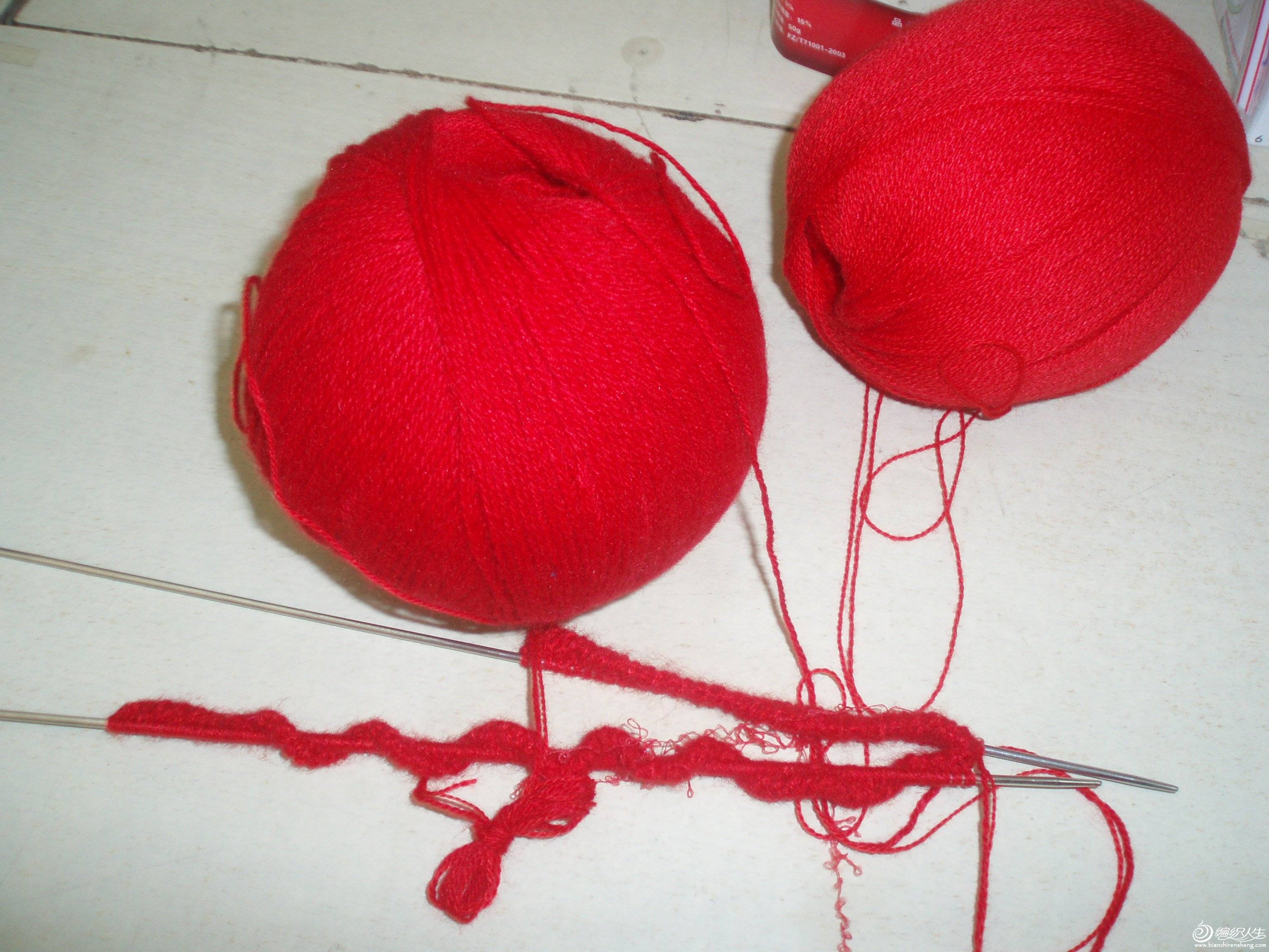 P1010121.JPG