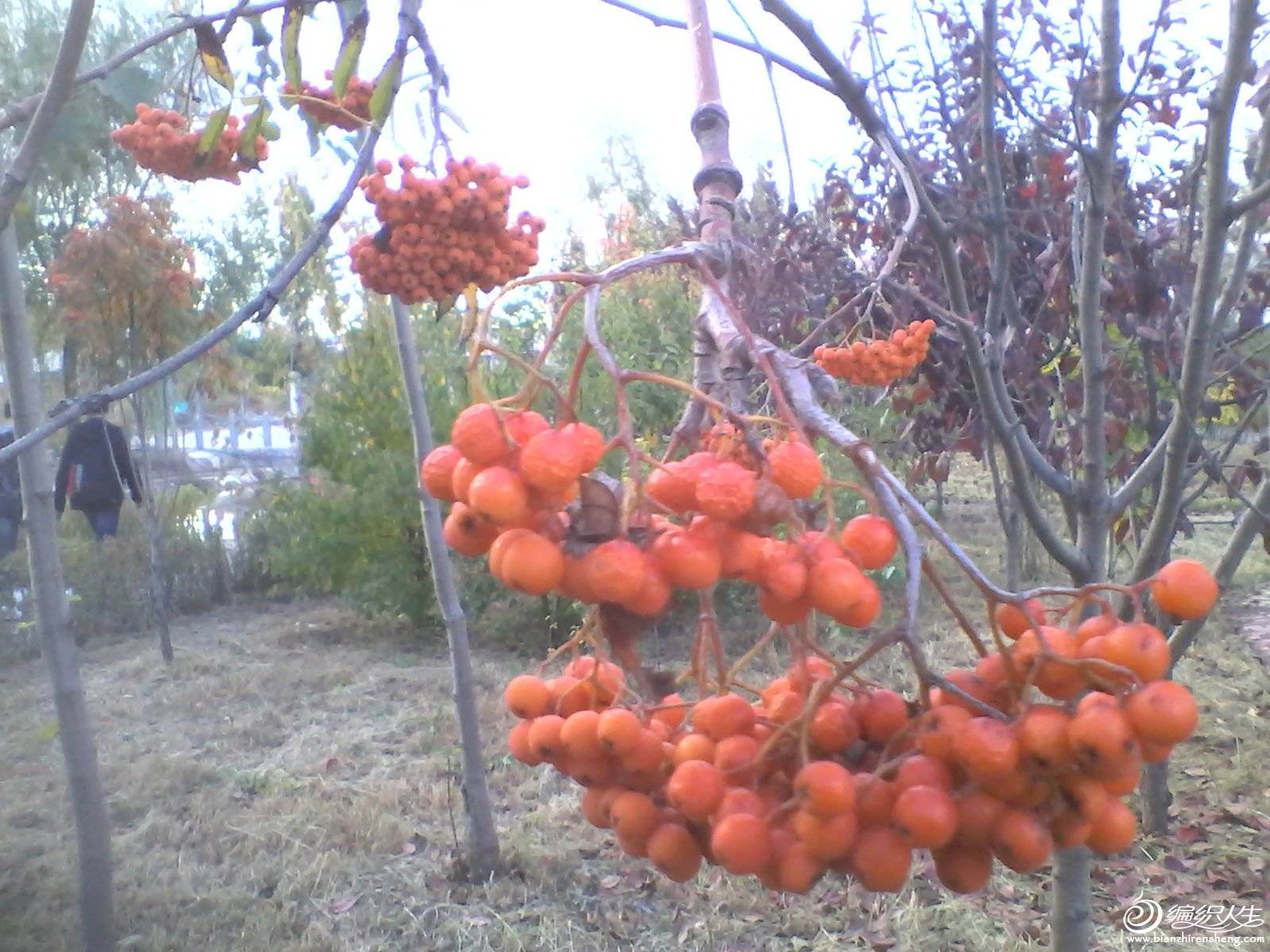 IMG_20131002_155622.jpg