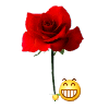 QQͼƬ20131015215114.gif