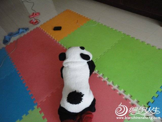 DSC01571.JPG