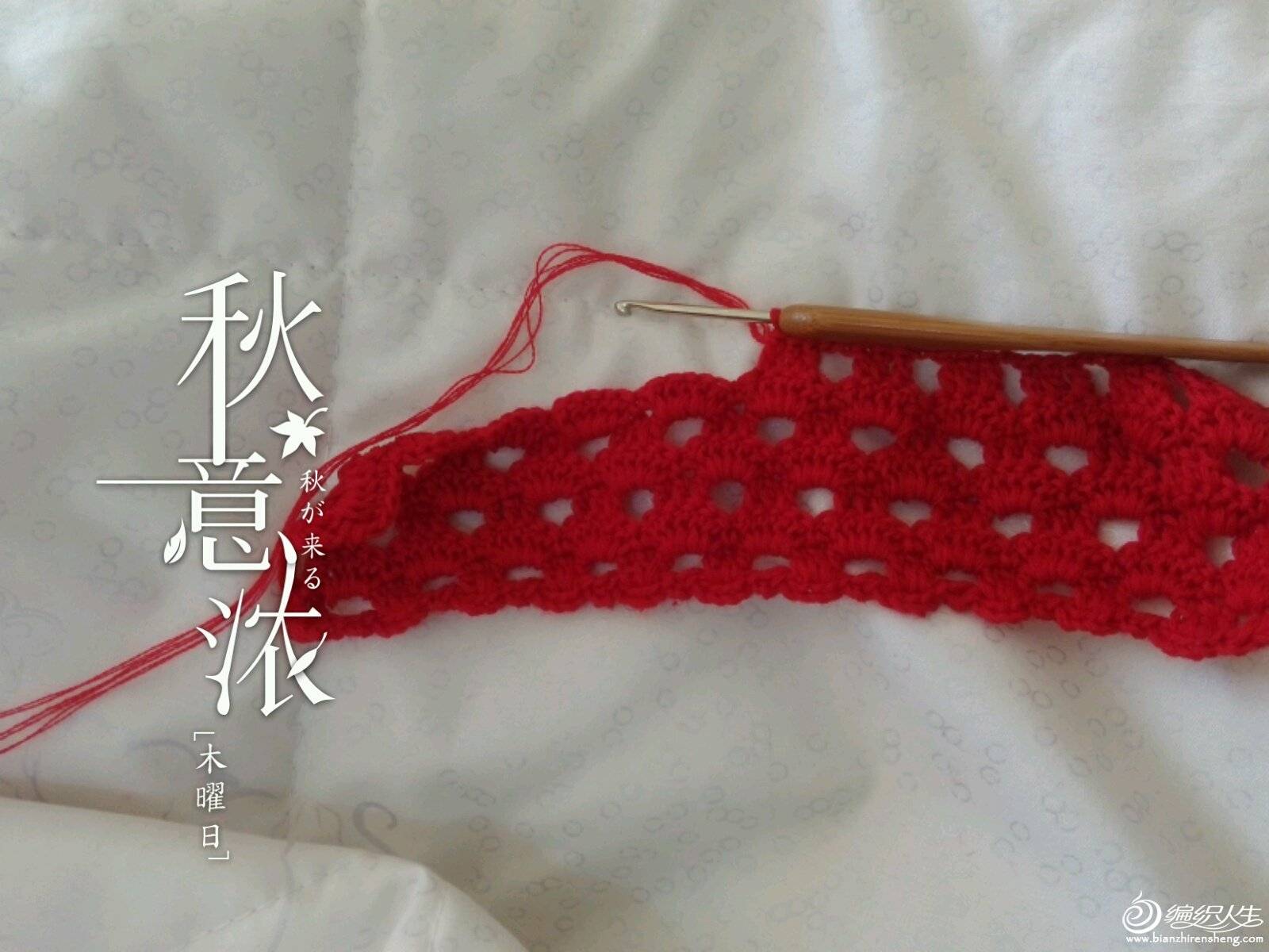 2013_11_28_08_57_31.jpg
