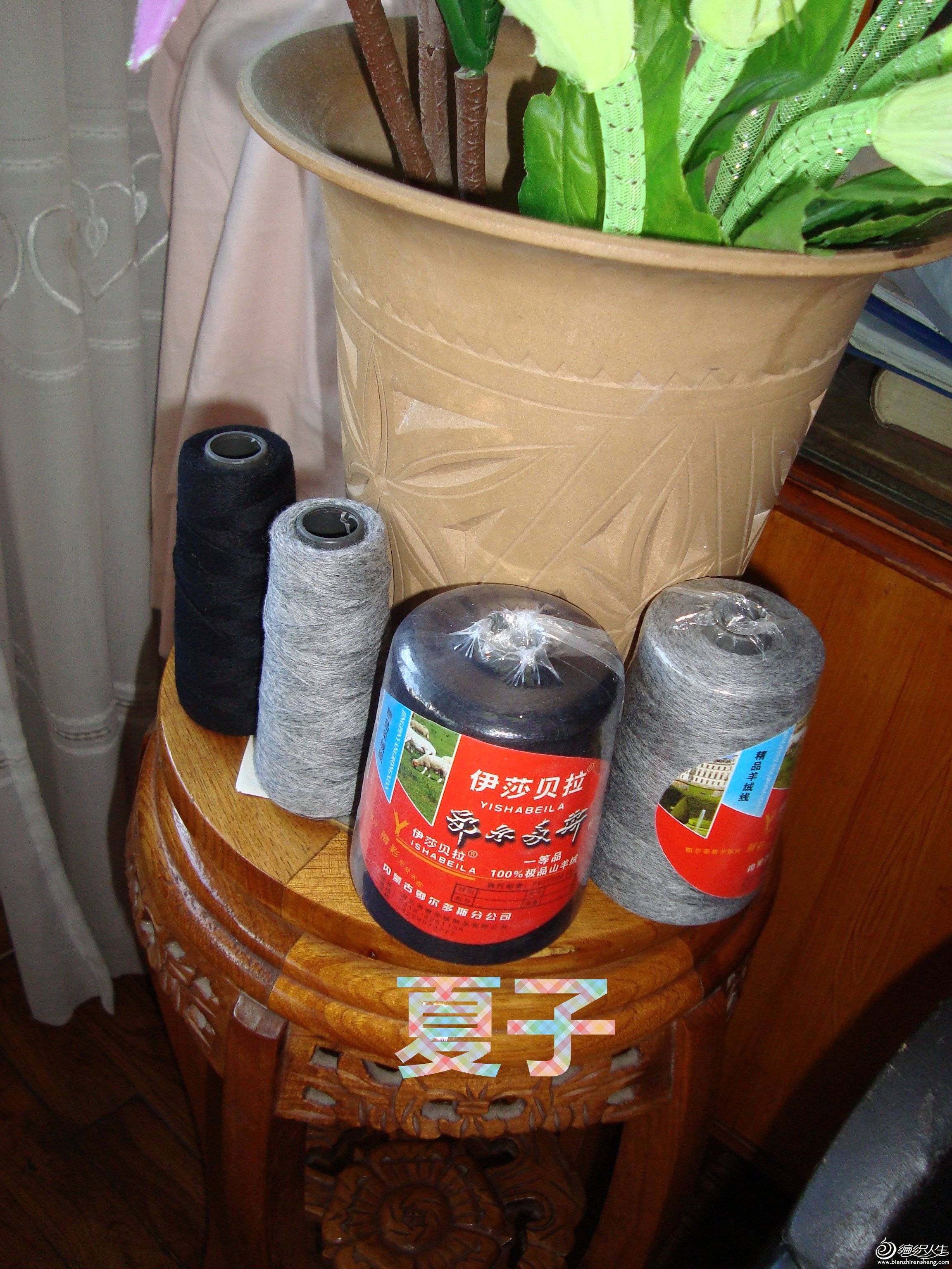 DSC01850_.jpg