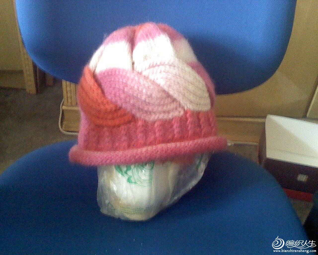 IMG0116150800.jpg