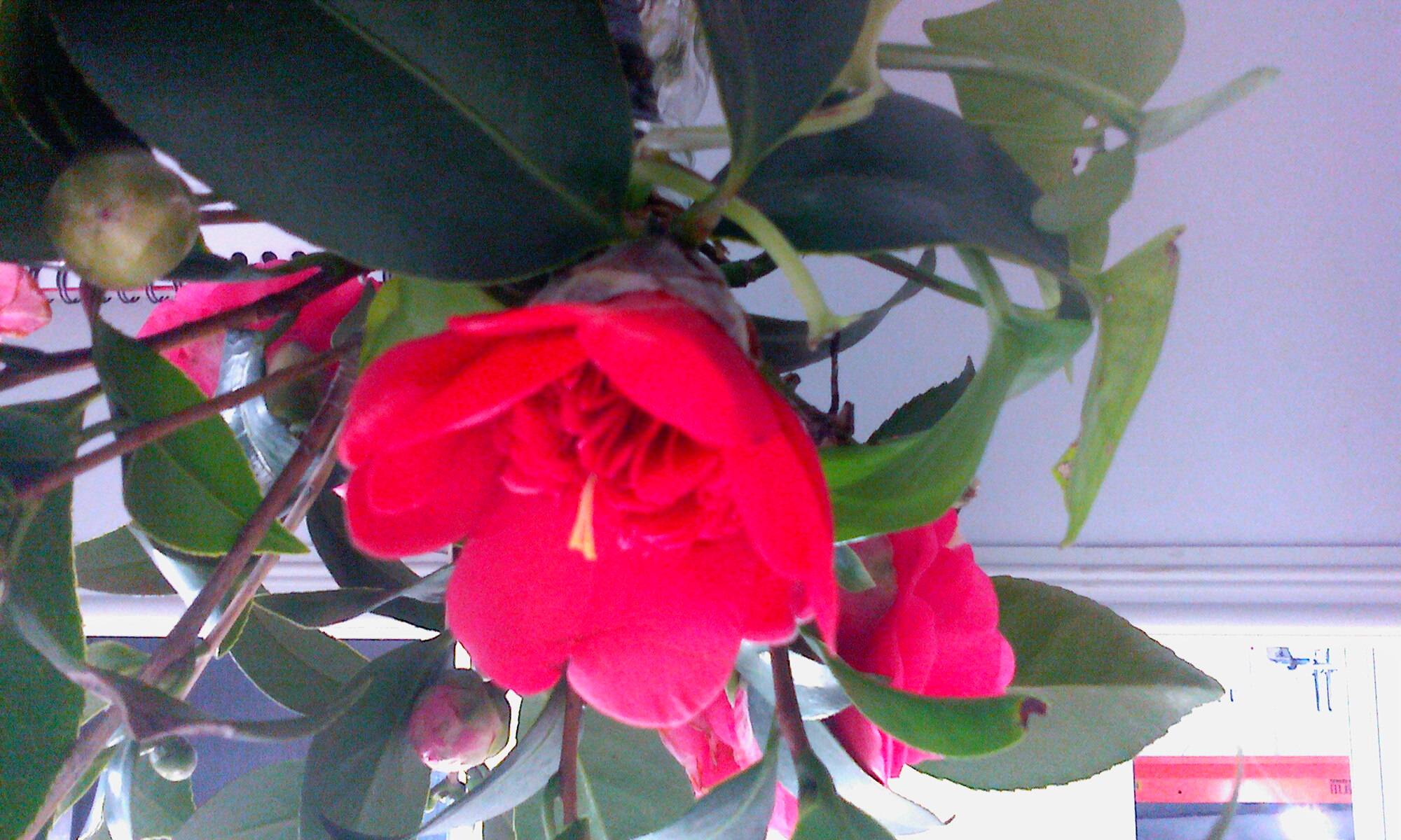 IMG0312153600.jpg