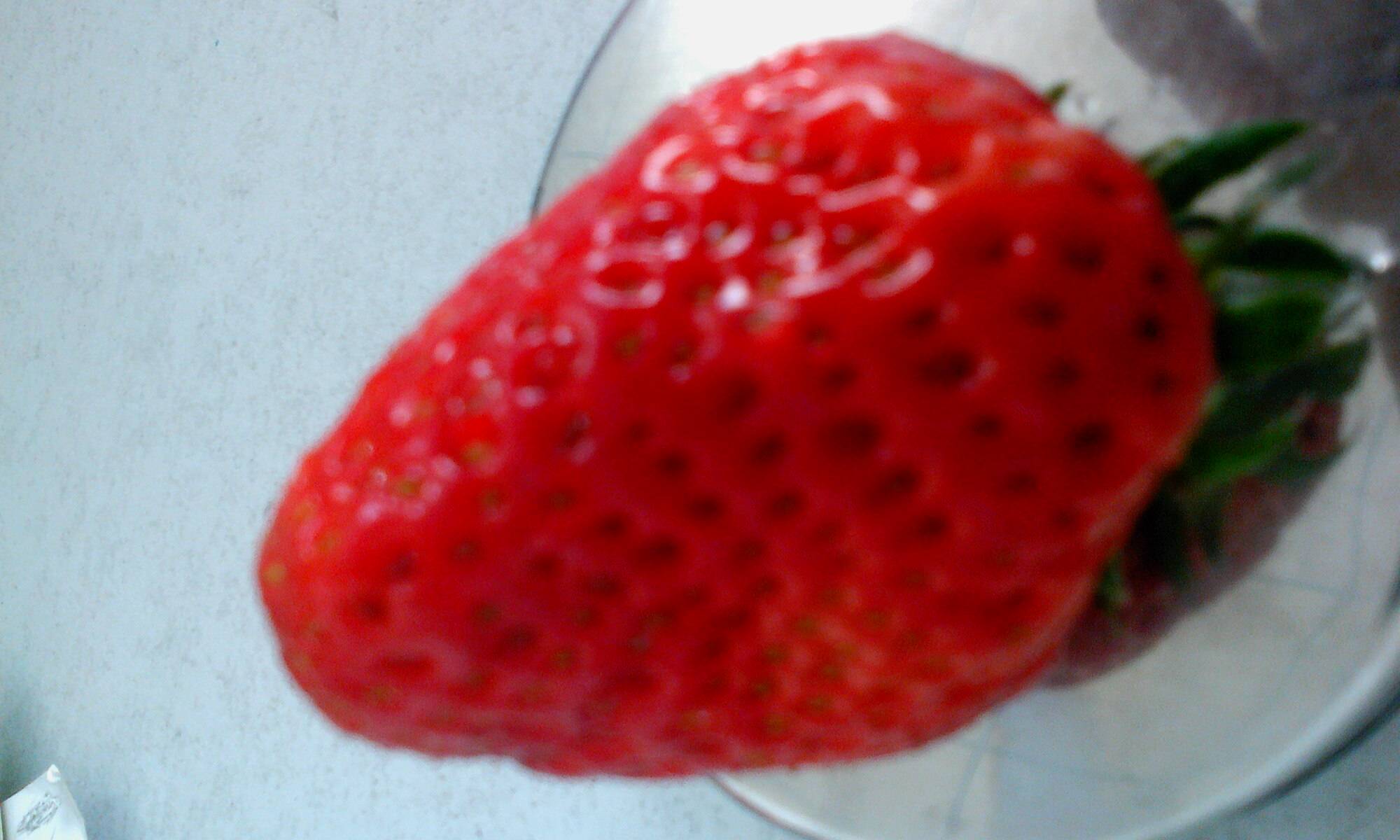 IMG0315152800.jpg