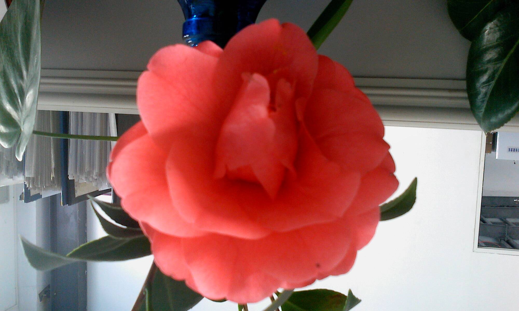 IMG0316152700.jpg