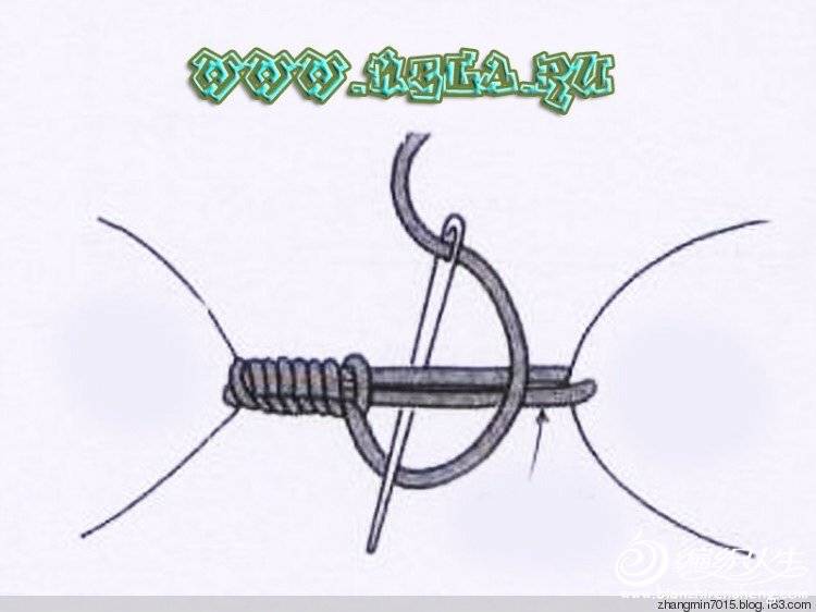 image.jpg