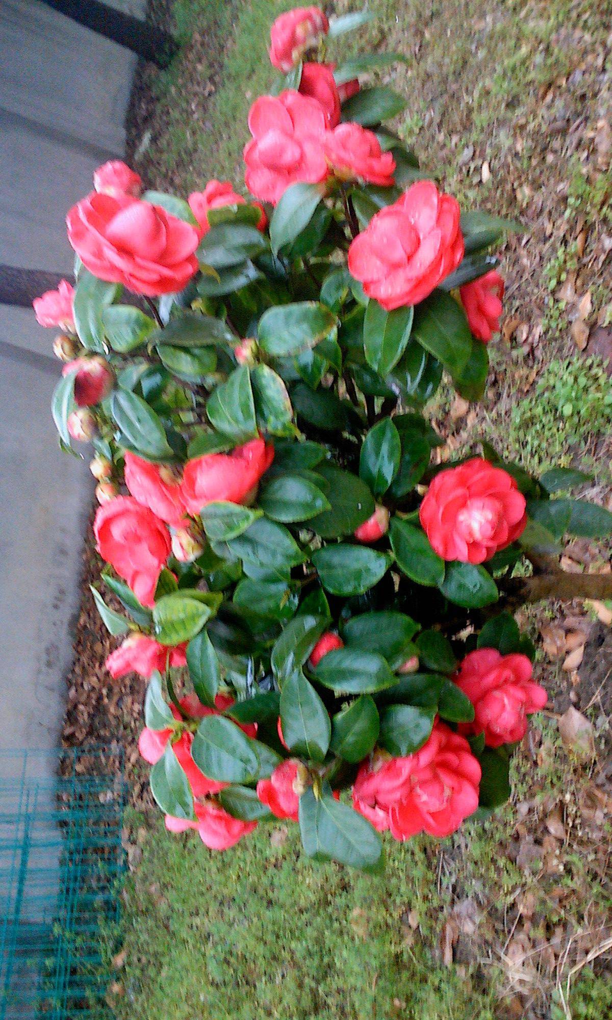 IMG0319171700.jpg
