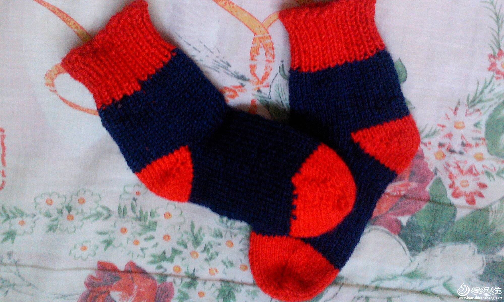 IMG1110071600.jpg