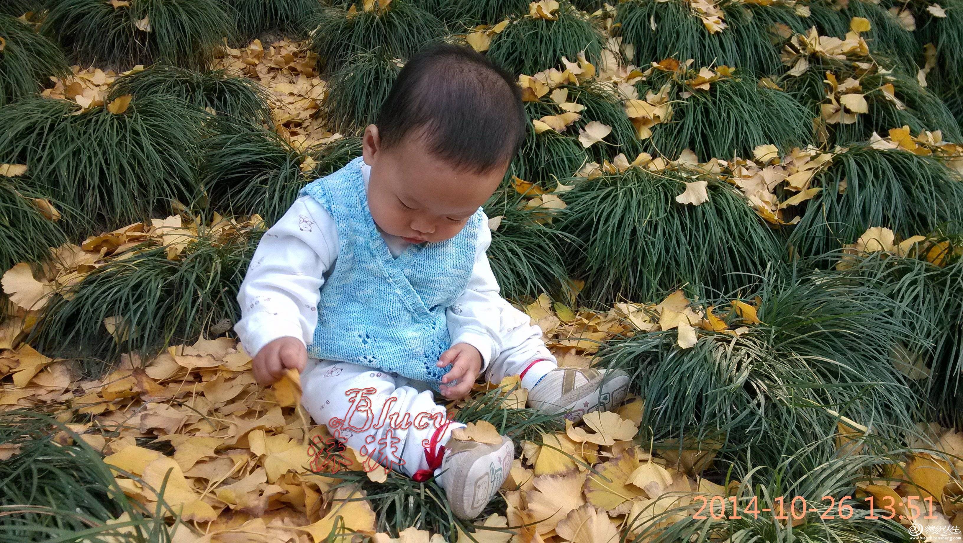 IMG_20141026_135102_.jpg