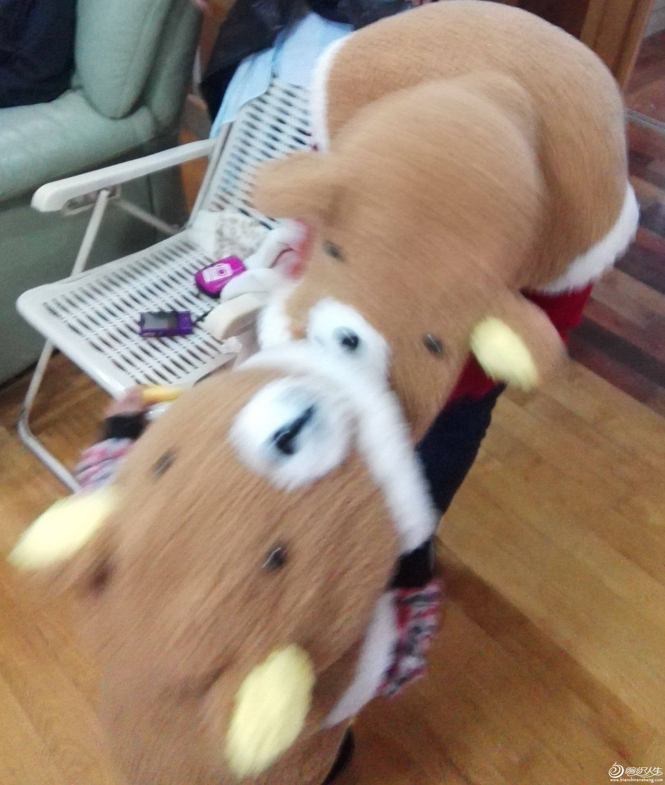 һϣֻץñˡ