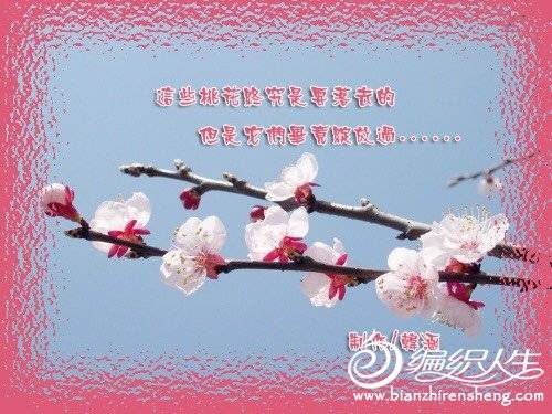 153026djmwzyyg99kmqgm8.jpg