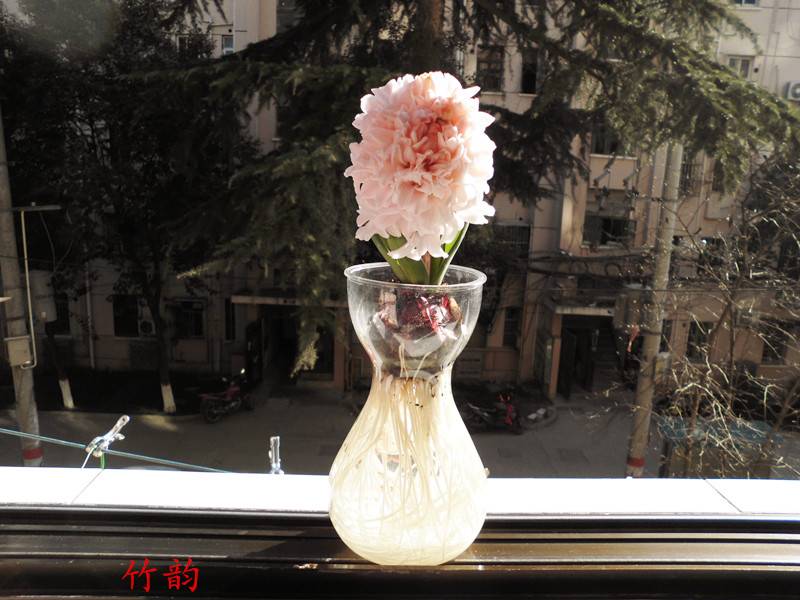 CIMG1554_.jpg
