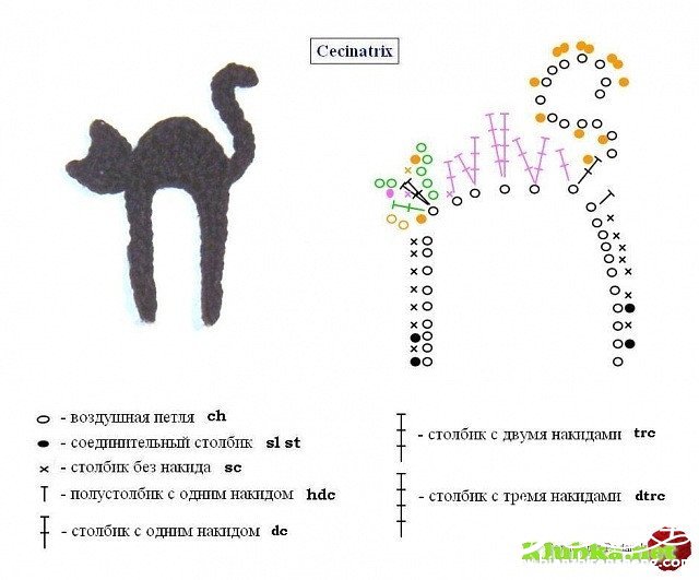 800?pt=0&ek=1&kp=1&sce=0-12-12.jpg