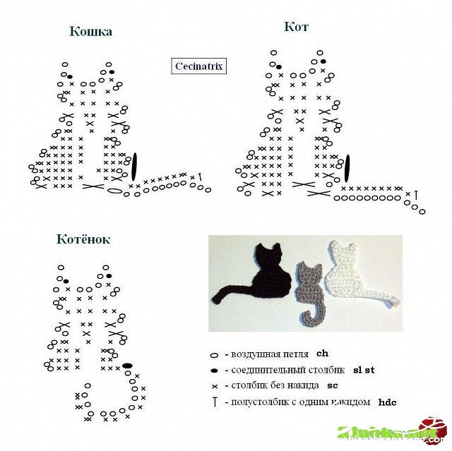 800?pt=0&ek=1&kp=1&sce=0-12-12.jpg