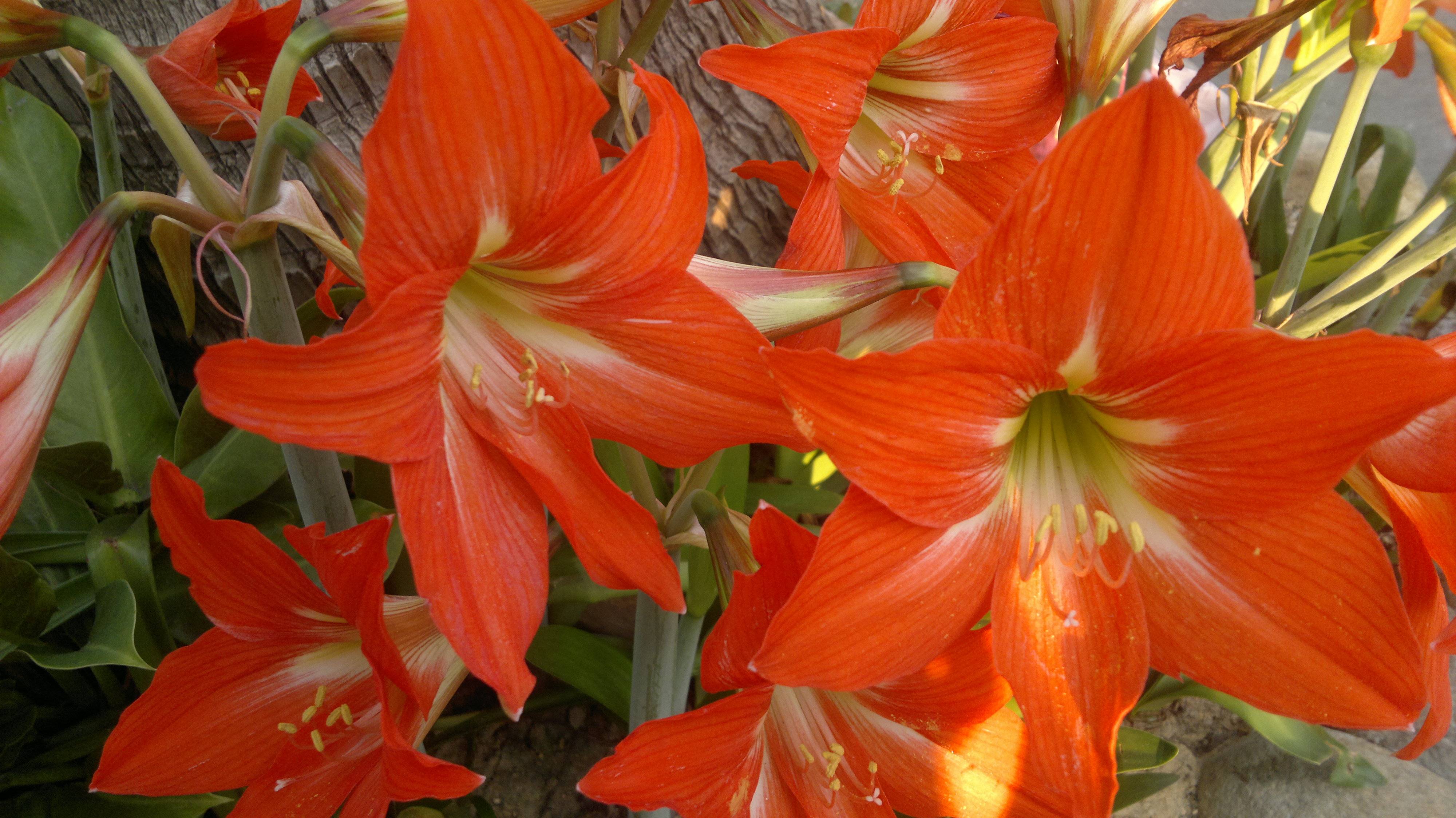 201503161630.jpg