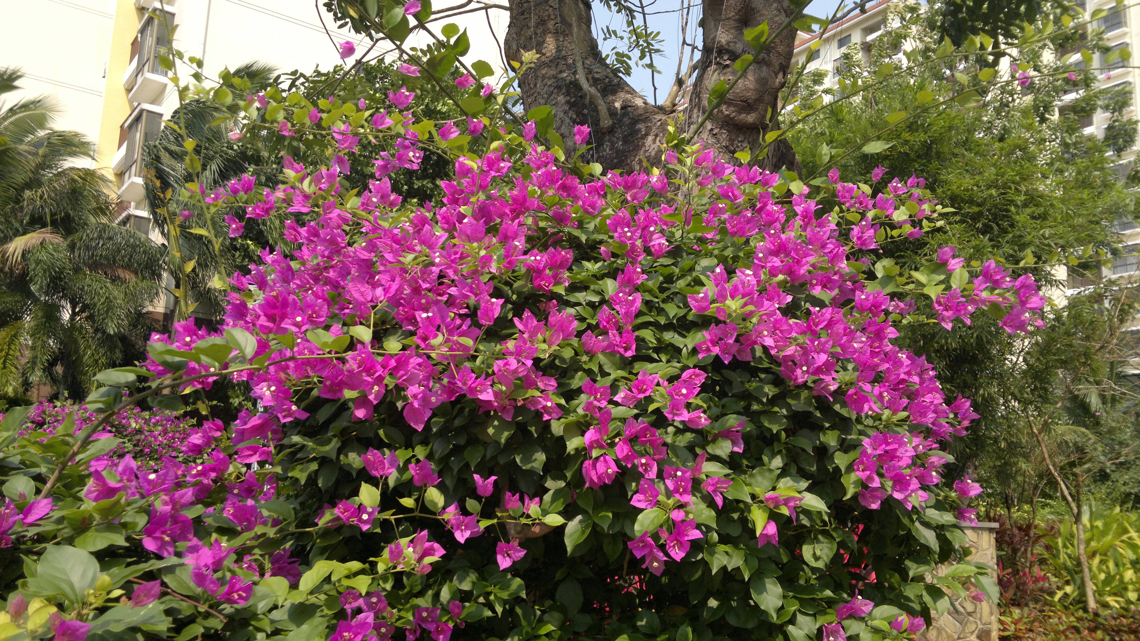 201503171649.jpg