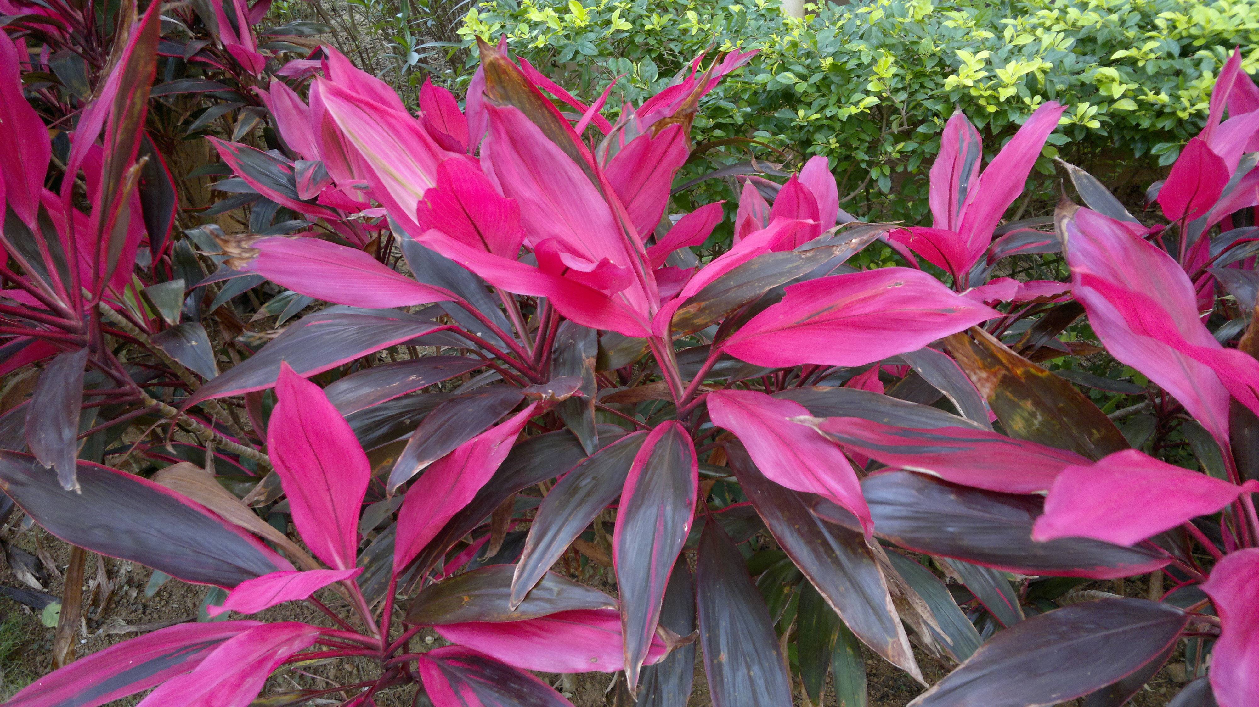 201503181651.jpg