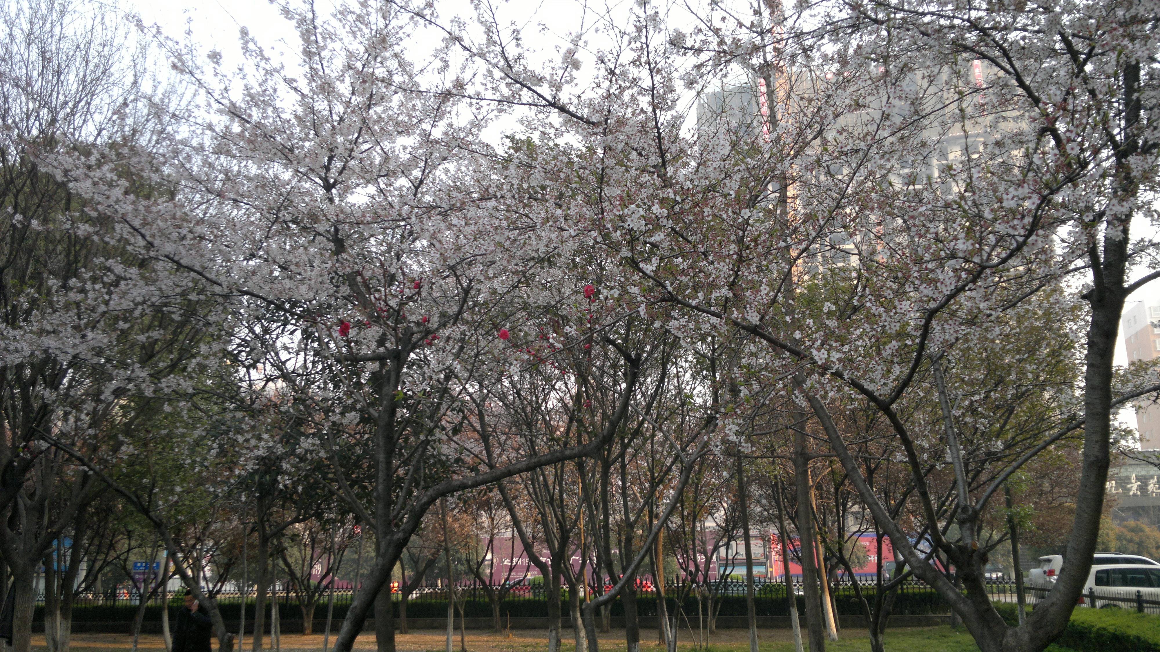 201503271704.jpg