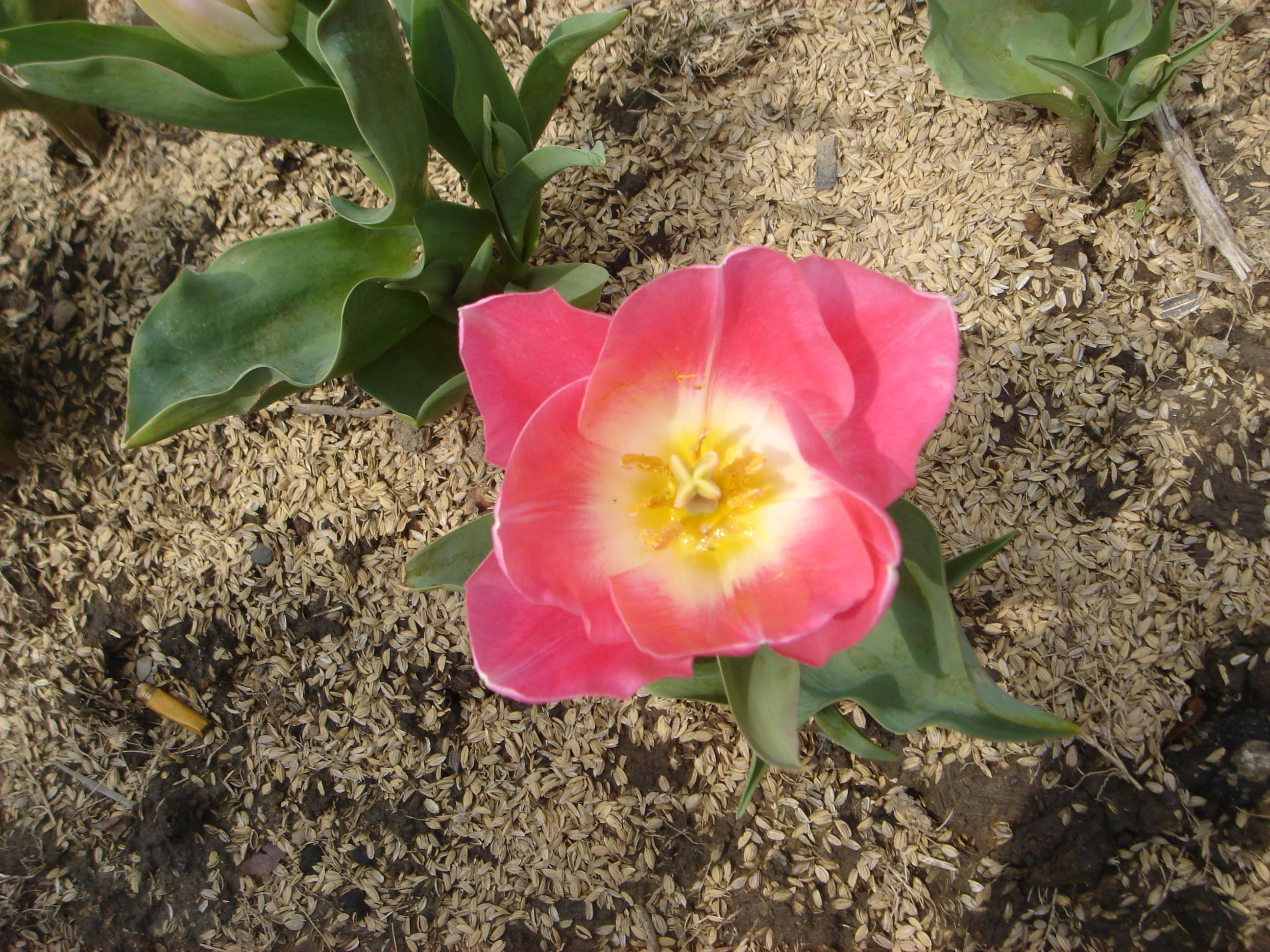 DSC08358.JPG