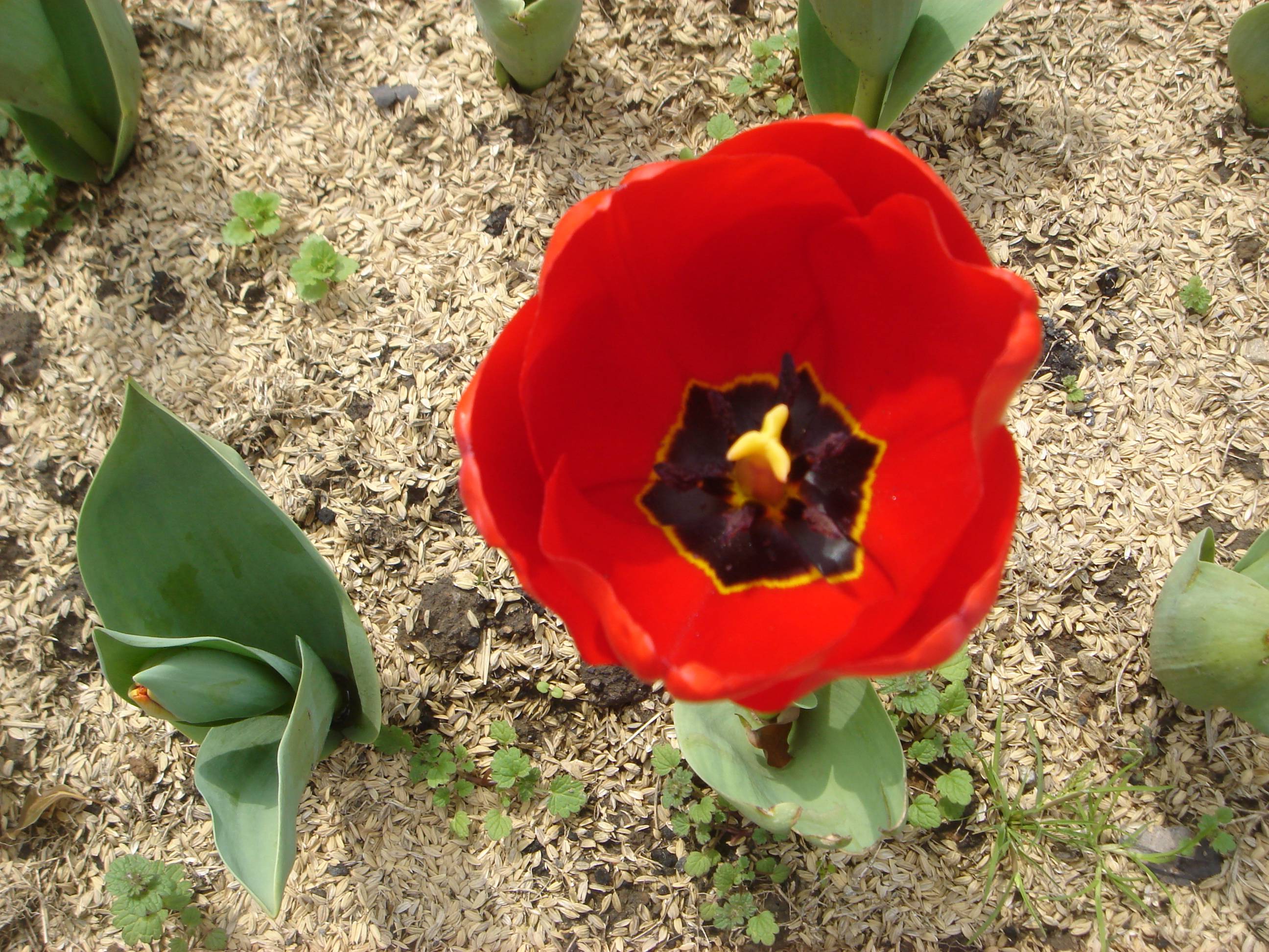 DSC08368.JPG