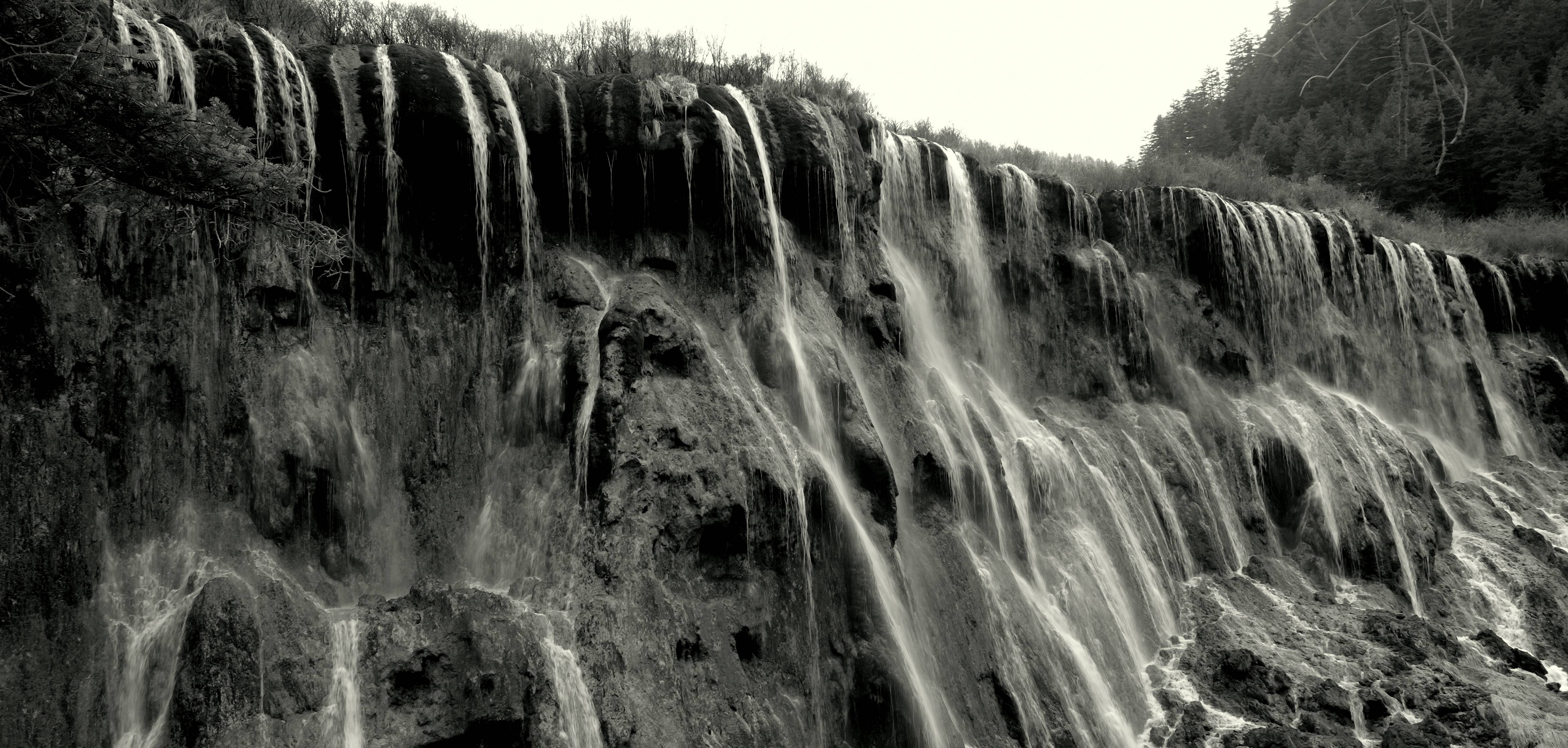 DSCF4950.JPG