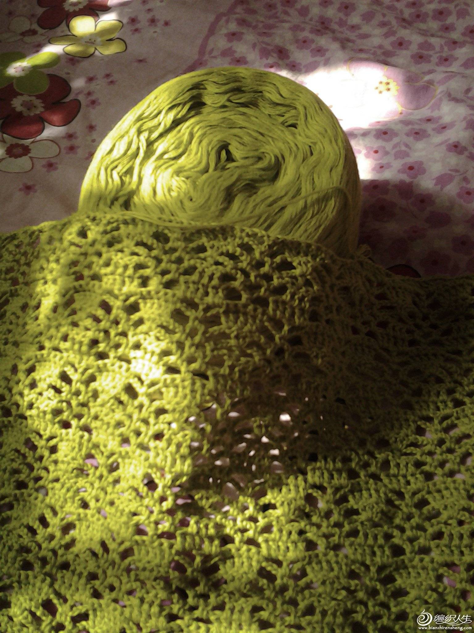 20150403_123419.jpg