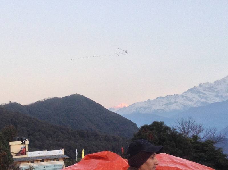 20150412 015.jpg